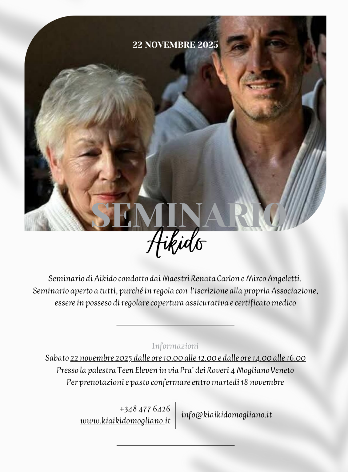 Tshirt Aikido Evolution - Maglietta Umoristica Arti Marziali - Cotone 100%, Stampata E Confezionata In Italia